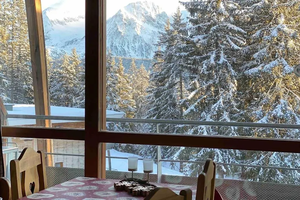 F3 Aux Pieds Des Pistes Avec Tres Belle Vue Apartment Chamrousse 0*,  France