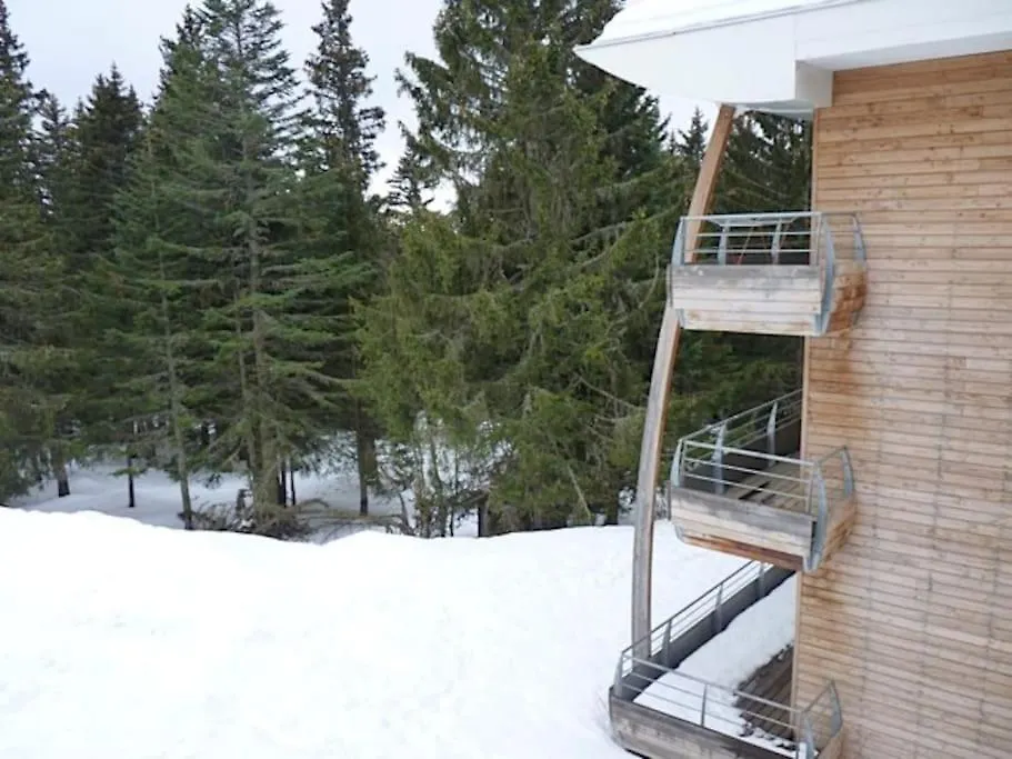 F3 Aux Pieds Des Pistes Avec Tres Belle Vue Apartment Chamrousse